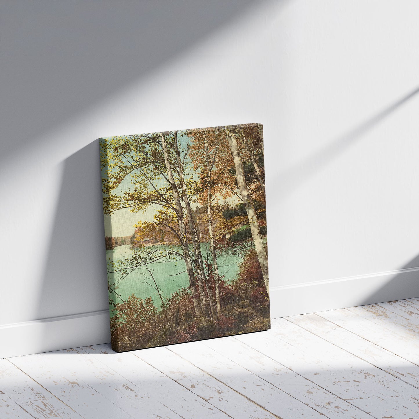 A picture of The Inlet, Spit-Fire Lake, Adirondack Mountains, a mockup of the print leaning against a wall