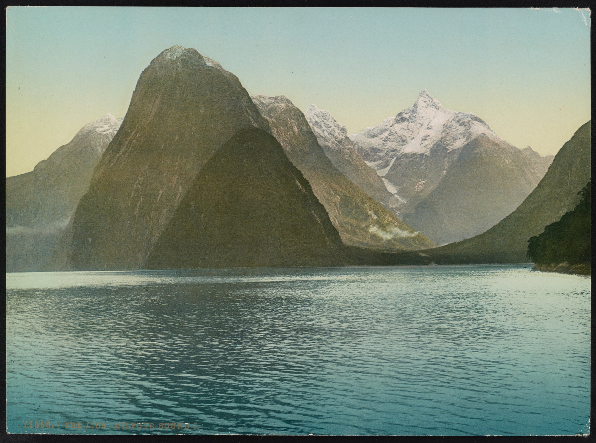 A picture of The Lion. Milford Sound I