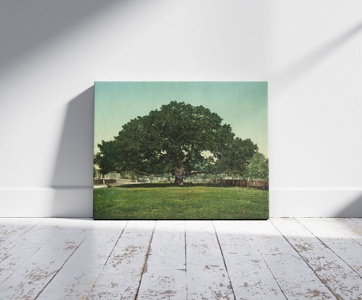 A picture of The Mammoth oak, Pass Christian, Miss., a mockup of the print leaning against a wall