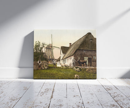 A picture of The mill at Munkmarsch, Sylt, Schleswig-Holstein, Germany