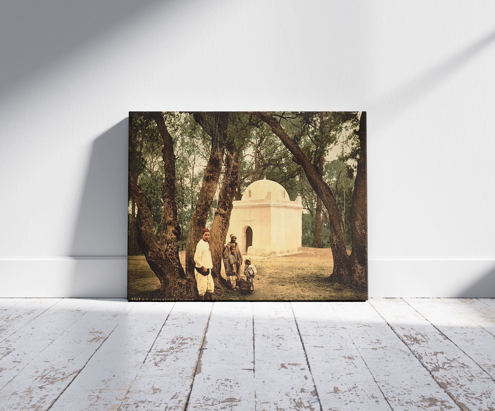 A picture of The sacred wood, Blidah, Algeria, a mockup of the print leaning against a wall