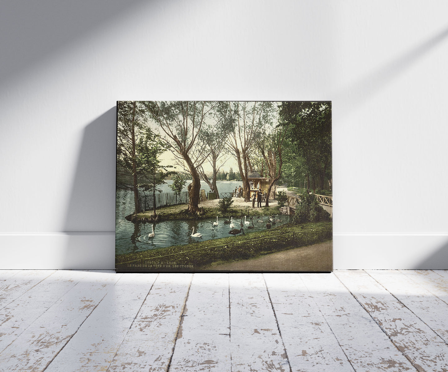 A picture of The swans in the park Tête d'Ór, Lyons, France, a mockup of the print leaning against a wall