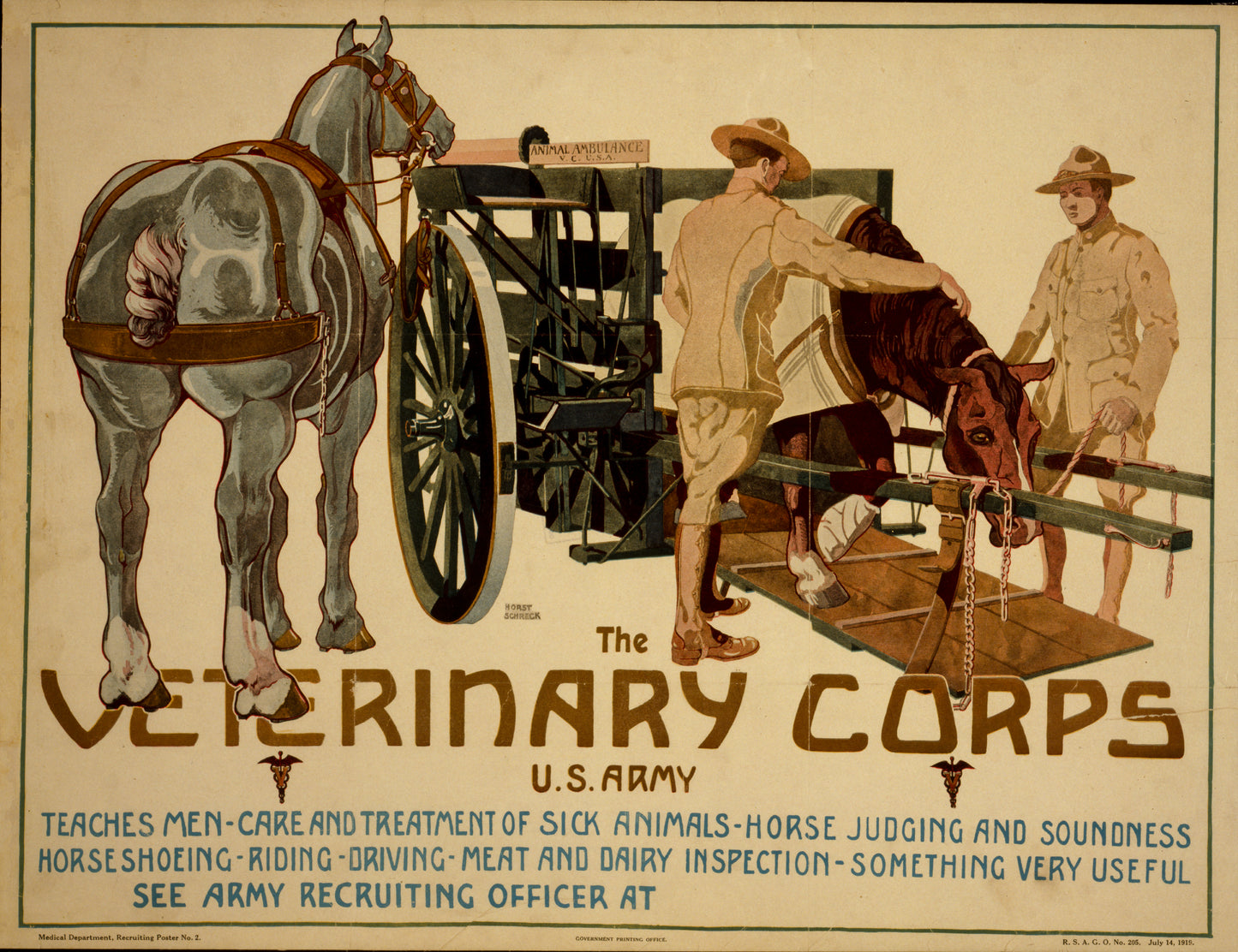 A picture of The Veterinary Corps, U.S. Army, teaches men care and treatment of sick animals; horse judging and soundness; horseshoeing; riding; driving; meat and dairy inspection - something very useful