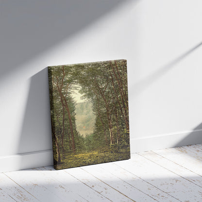 A picture of The Zauberhole and the Schweizerhaus, Niederwald Monument, the Rhine, Germany, a mockup of the print leaning against a wall