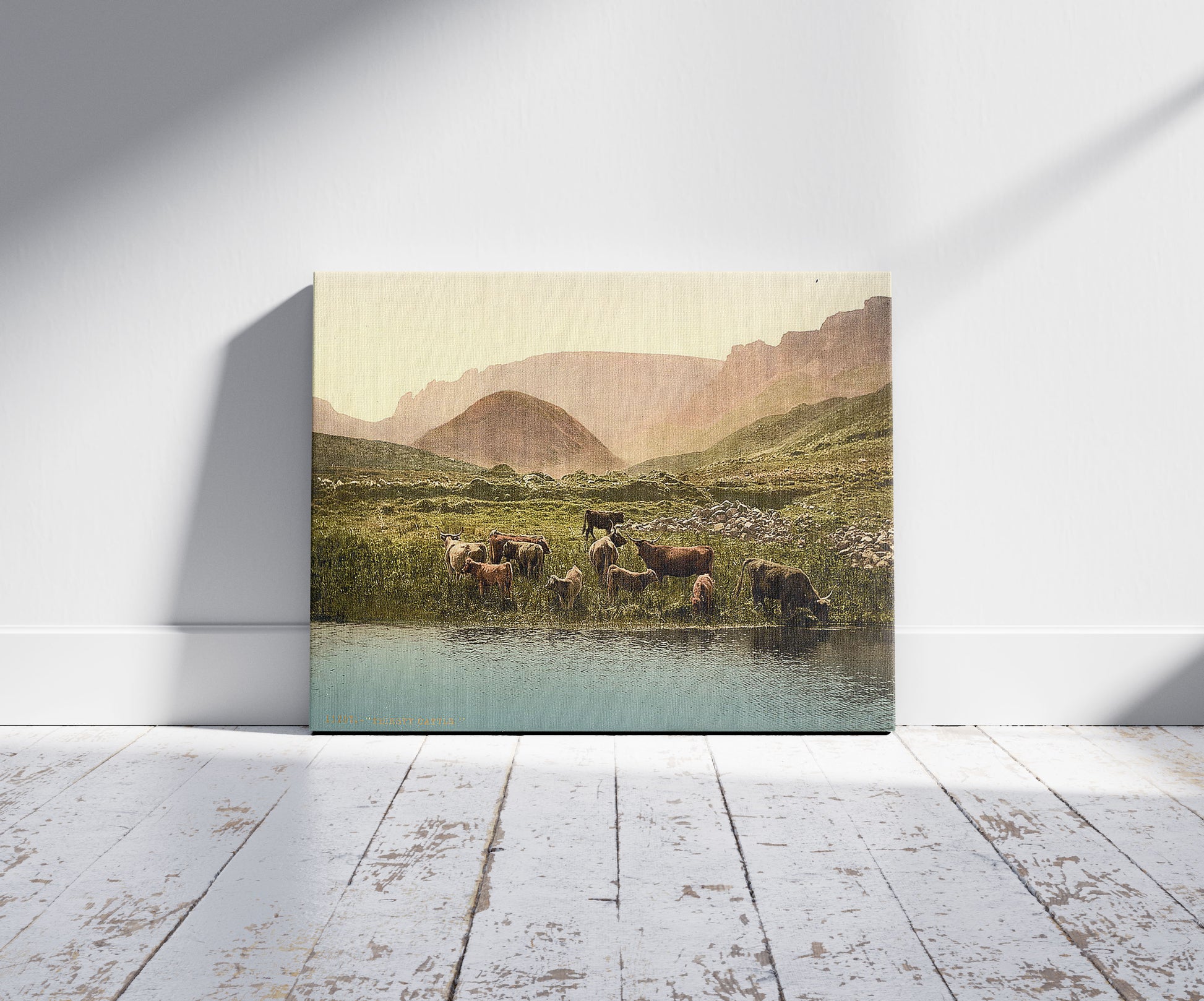 A picture of Thirsty cattle, England, a mockup of the print leaning against a wall