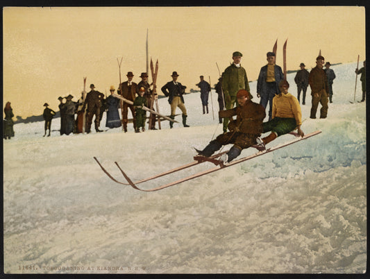 A picture of Tobogganing at Kiandra, N.S.W.