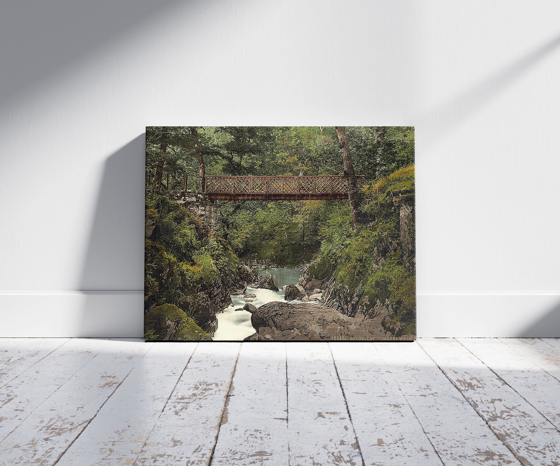 A picture of Torrent Walk III, Dolgelly (i.e. Dolgellau), Wales, a mockup of the print leaning against a wall