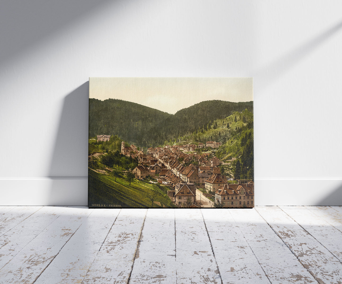 A picture of Treiberg, general view, Black Forest, Baden, Germany