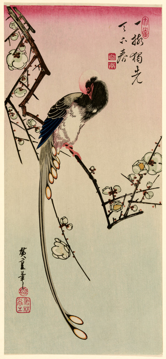 A picture of Ume ni onagadori