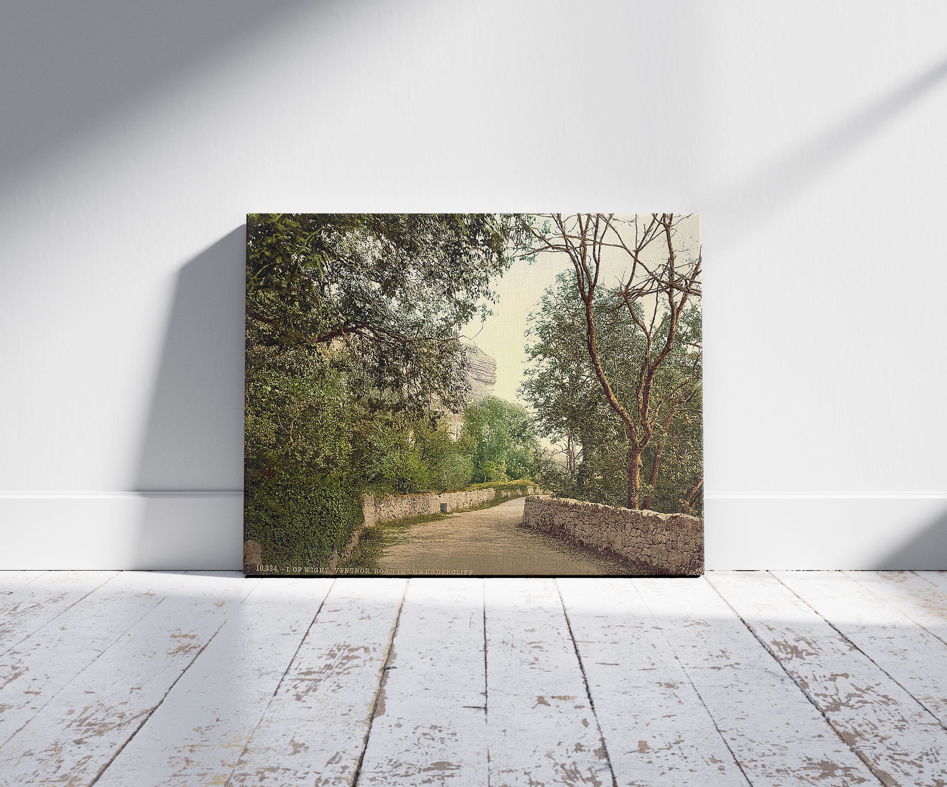 A picture of Ventnor, road to the Undercliff, Isle of Wight, England