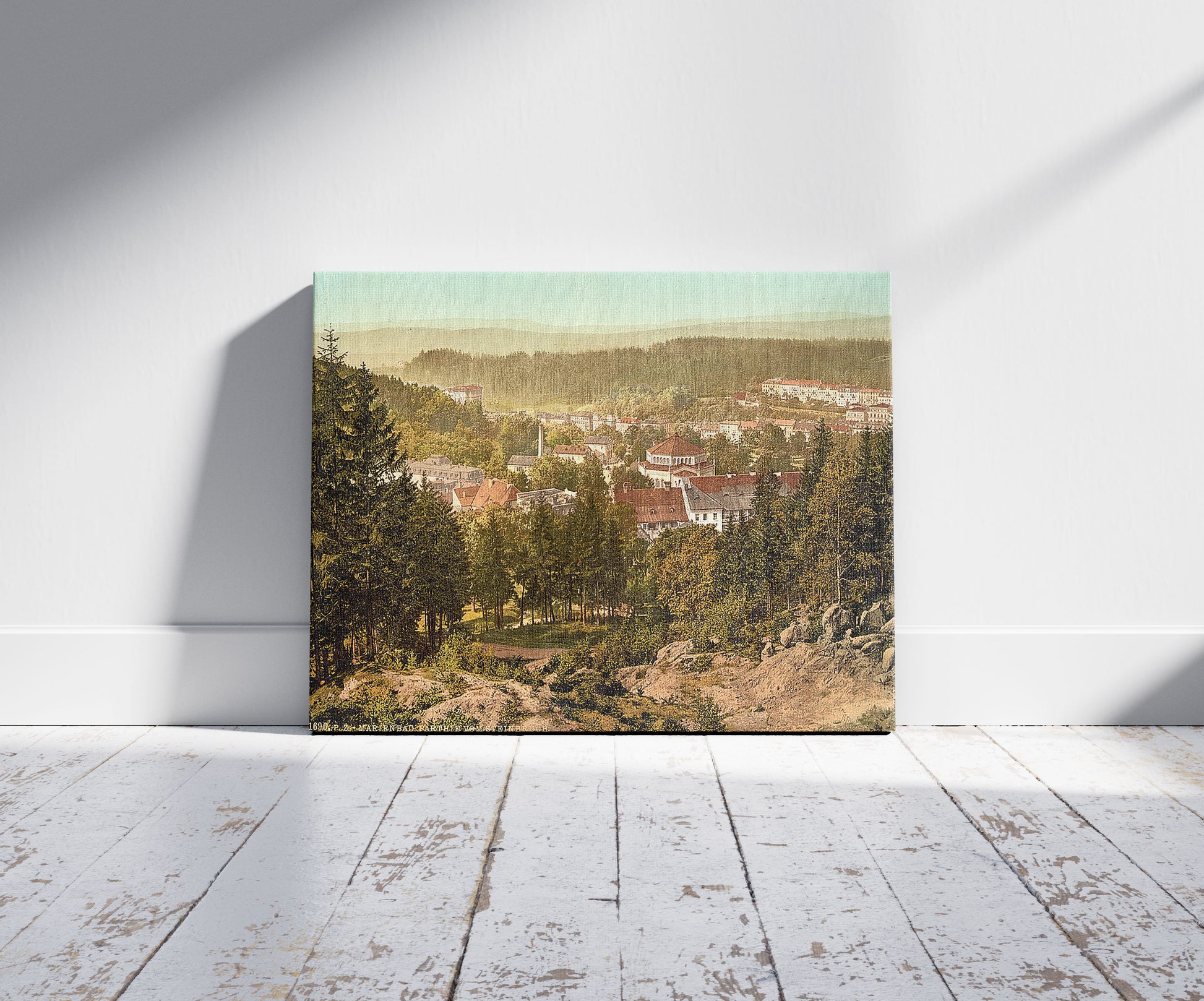 A picture of View from Steinbruch, Marienbad, Bohemia, Austro-Hungary