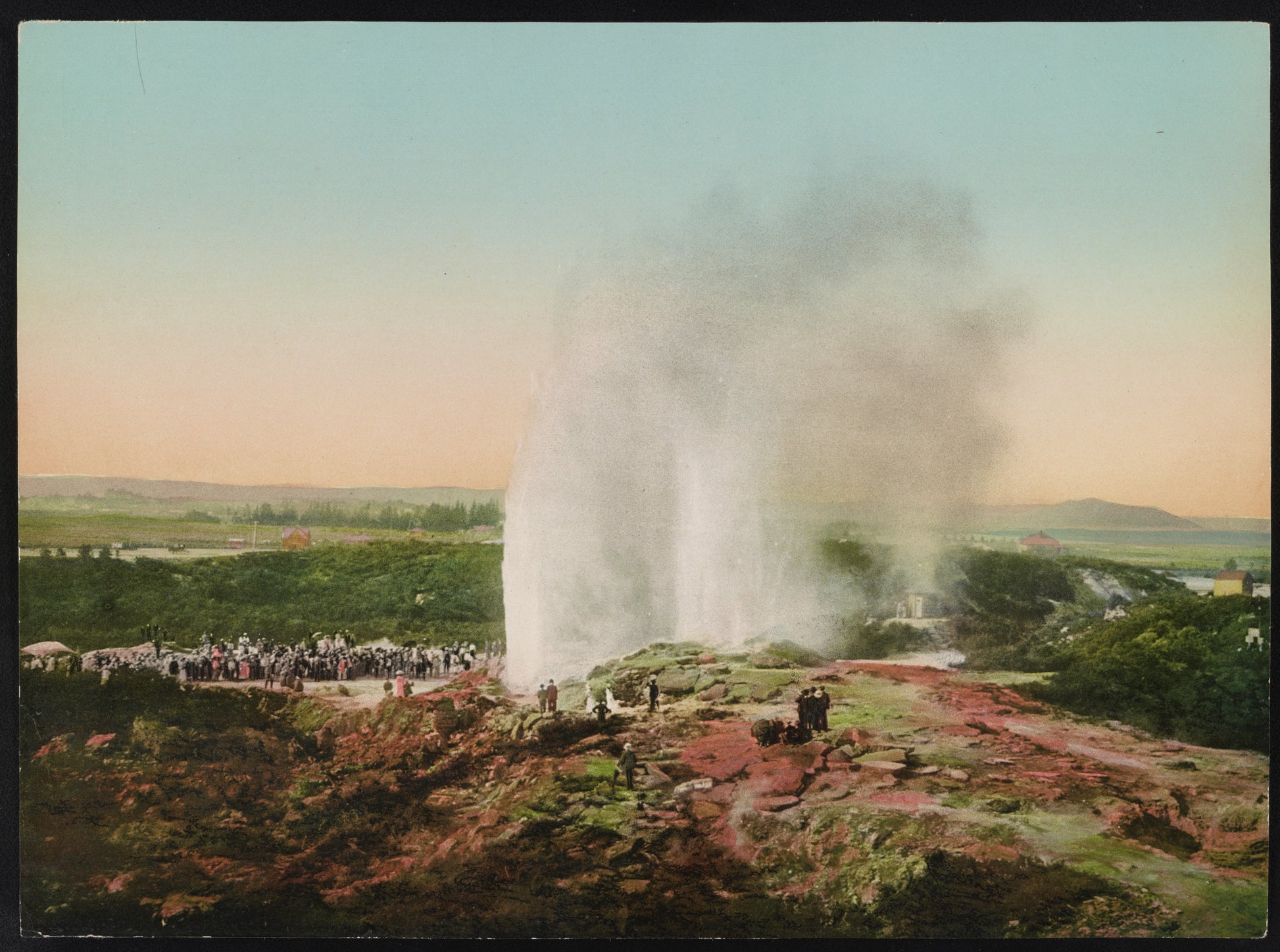 A picture of Wairoa Geyser in Eruption, Whakarewarewa