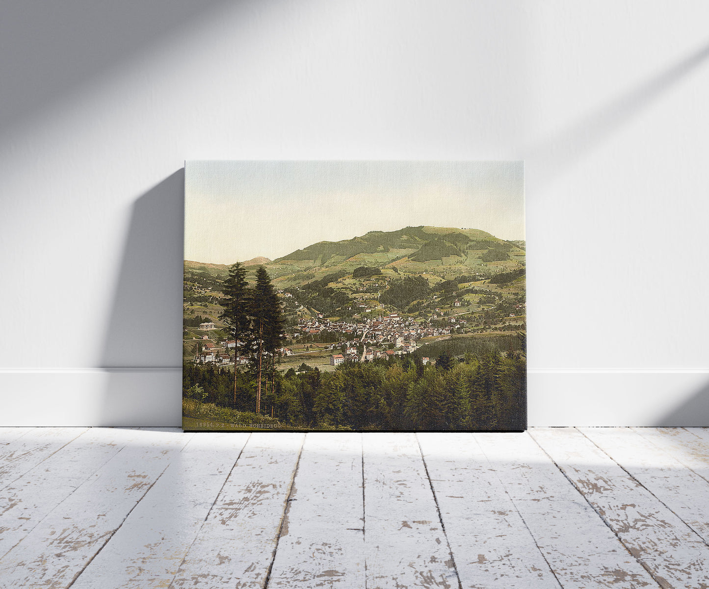 A picture of Wald, general view, Zurich, Switzerland