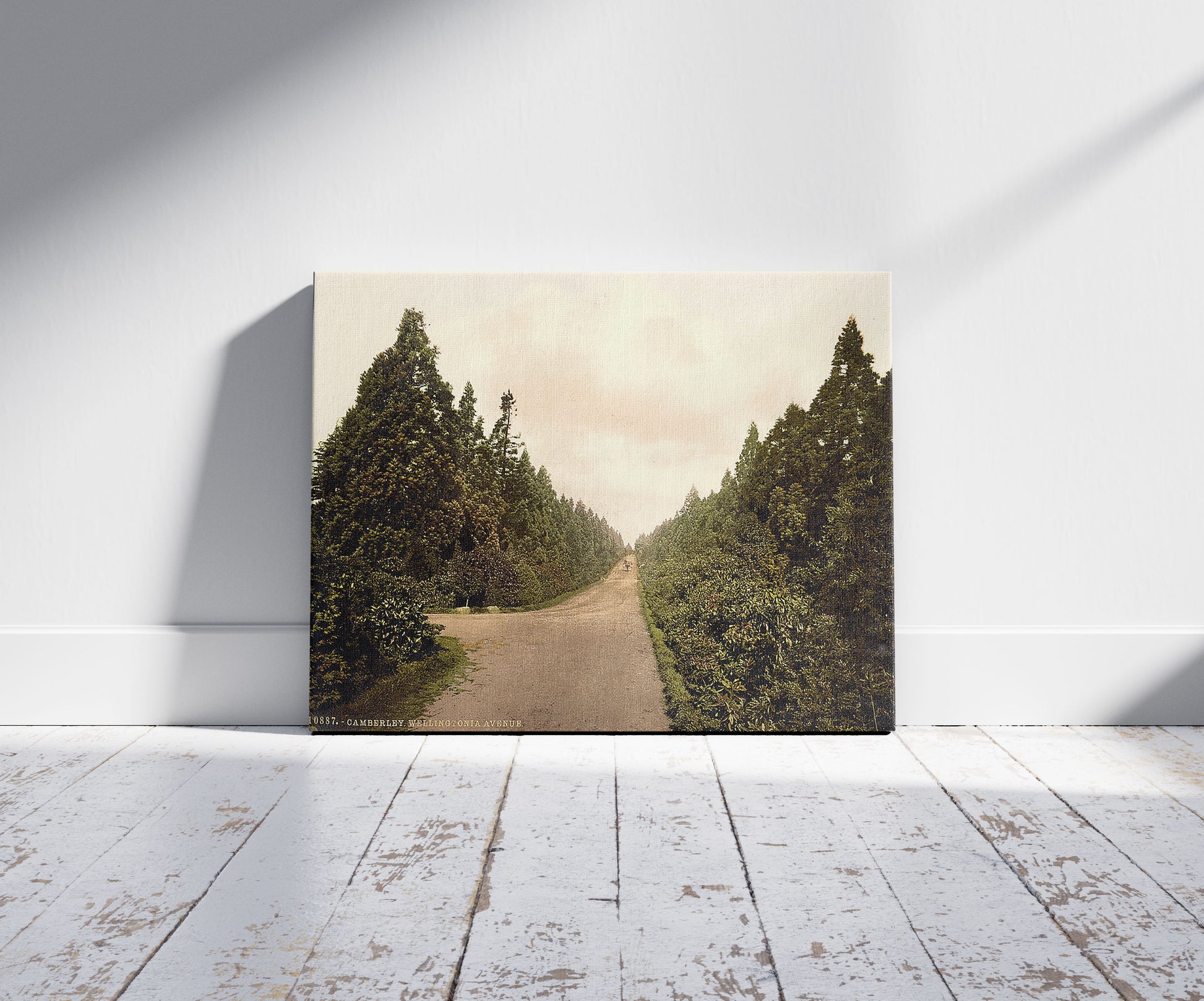 A picture of Wellingtonia Avenue, Camberley, England, a mockup of the print leaning against a wall