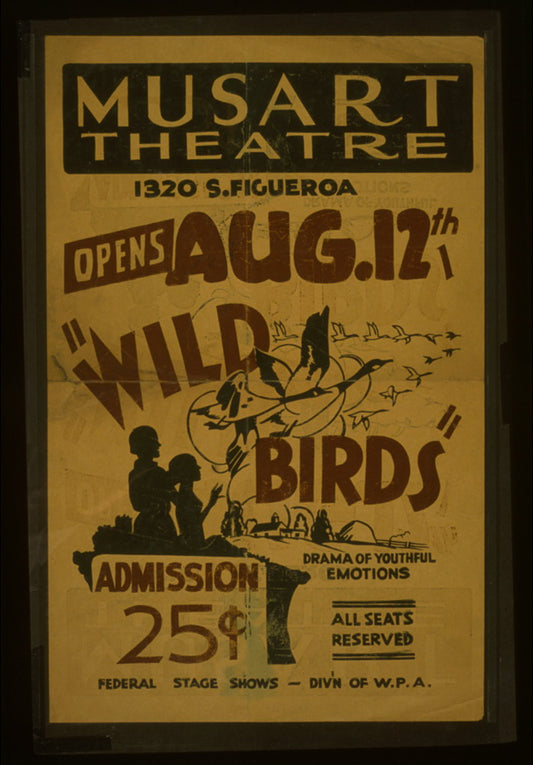 A picture of "Wild birds" Drama of youthful emotions.