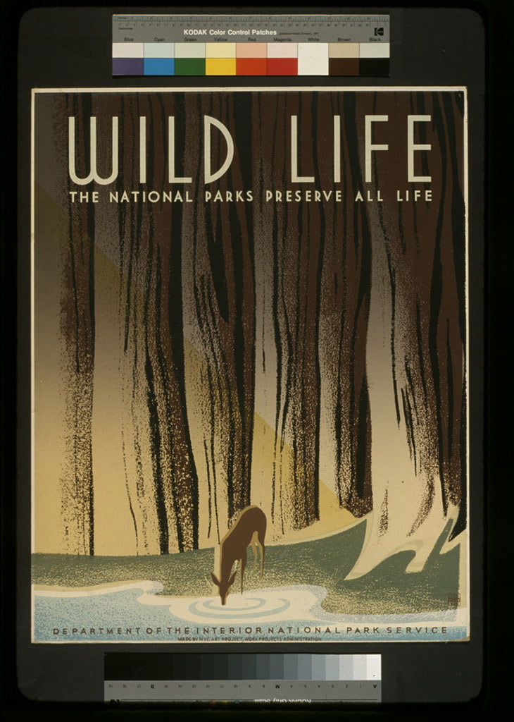 A picture of Wild life The national parks preserve all life.