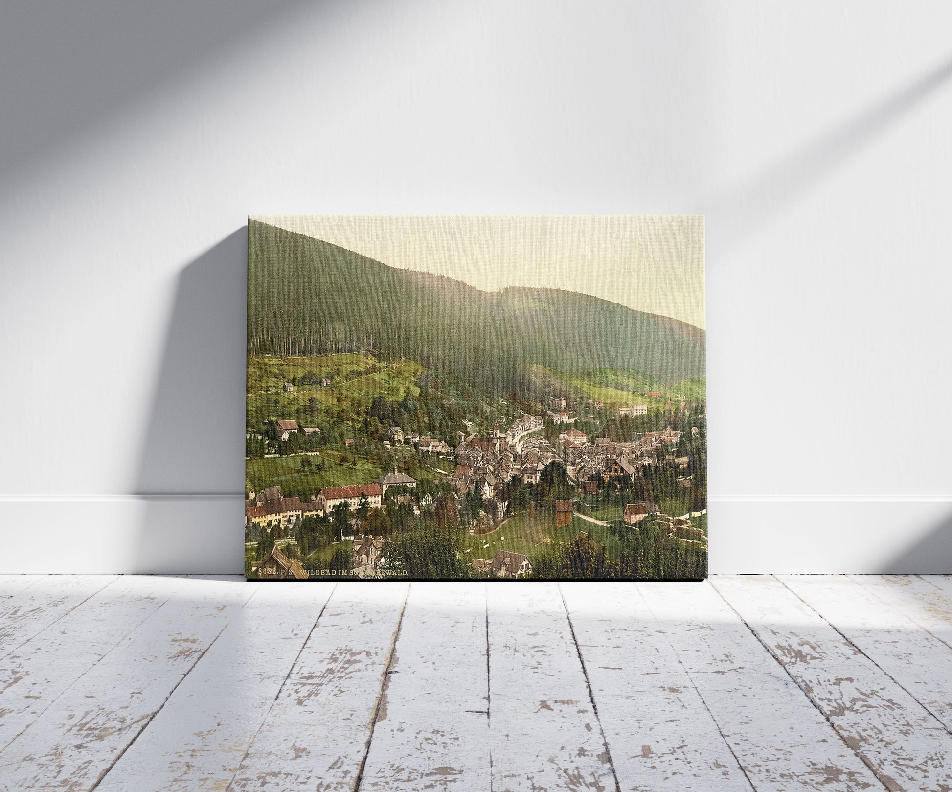 A picture of Wildbad from Paulineshohe, Wurtemburg, Germany