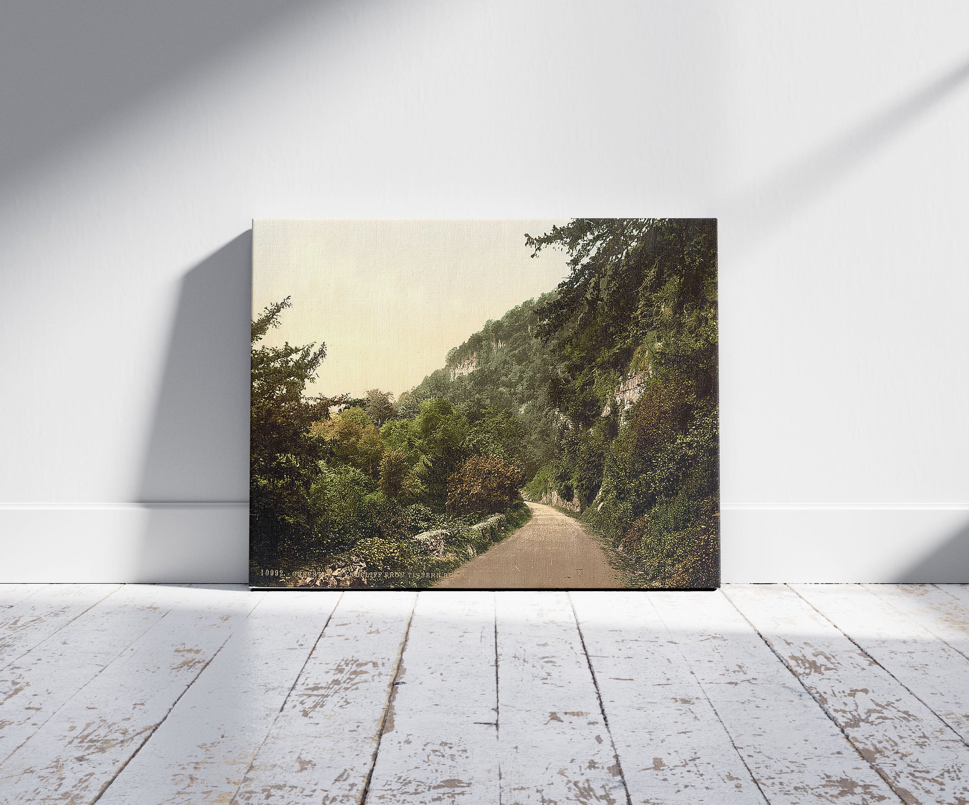 A picture of Wyndcliff from Tintern Road, Chepstow, Wales, a mockup of the print leaning against a wall