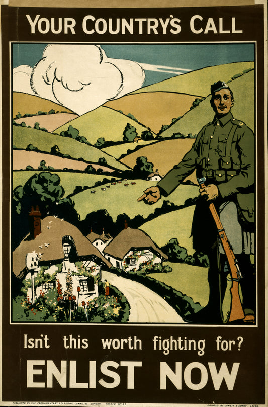 A picture of Your country's call. Isn't this worth fighting for? Enlist now