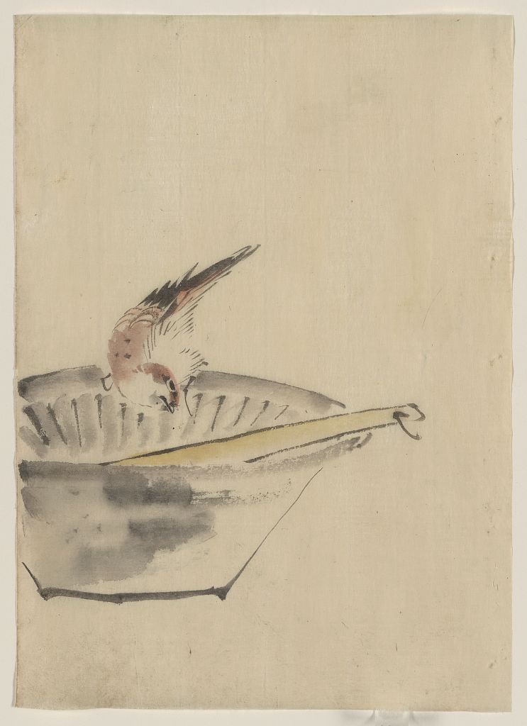 A picture of A bird perched on the edge of a bowl, with head cocked, looking at a utensil in the bowl
