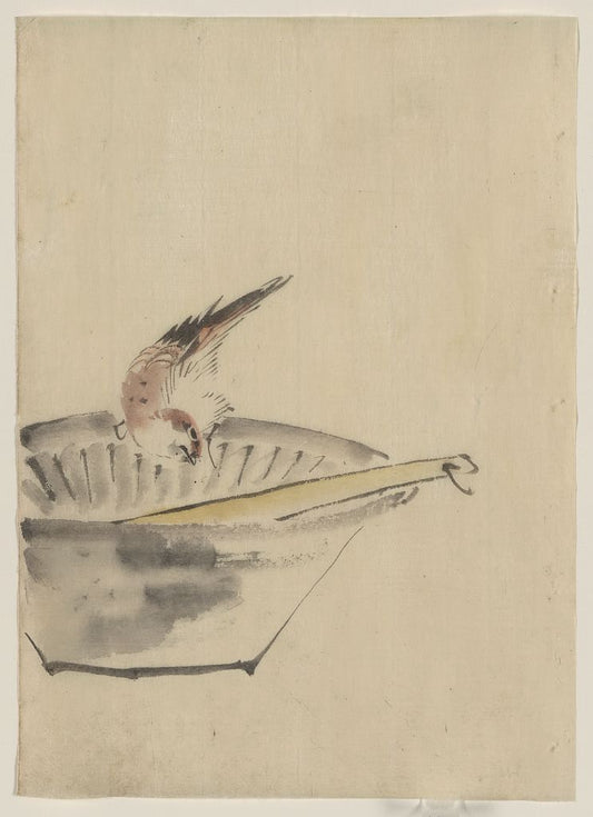 A picture of A bird perched on the edge of a bowl, with head cocked, looking at a utensil in the bowl