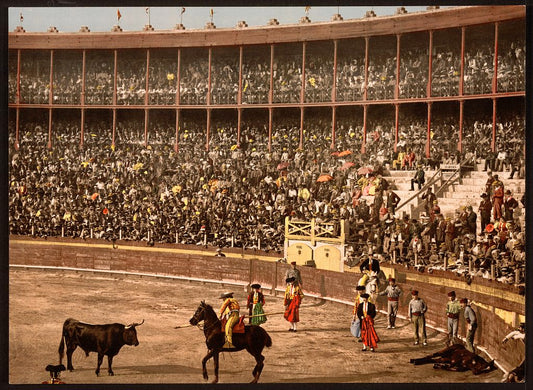 A picture of A bull fight, Barcelona, Spain