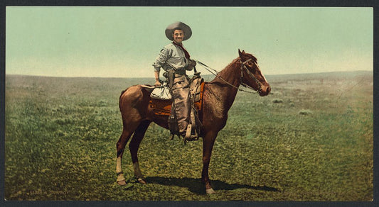 A picture of A cowboy