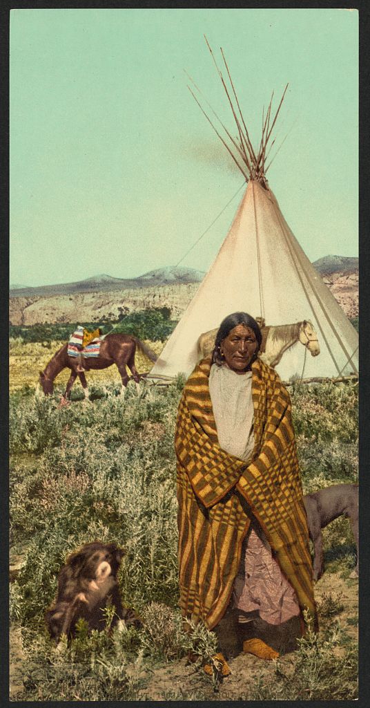 A picture of A Crow indian