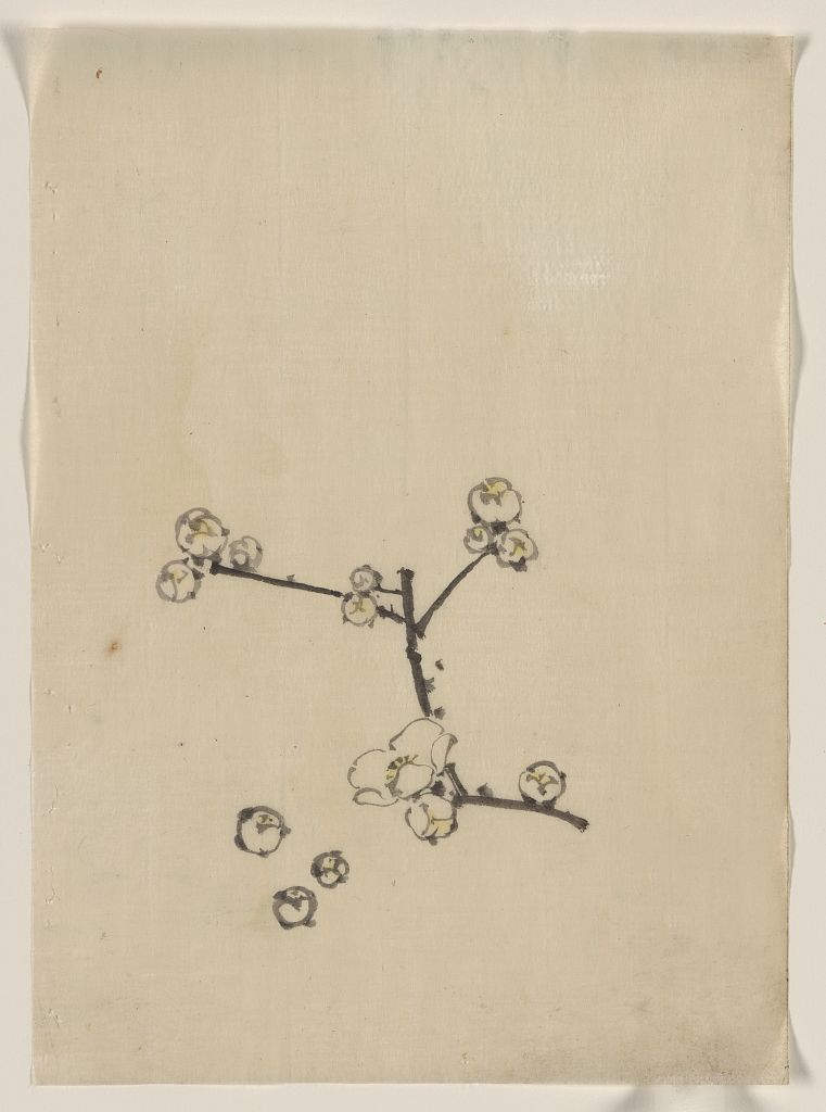 A picture of A tree branch with blossoms