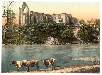 A picture of Abbey from the river, Bolton Abbey, England