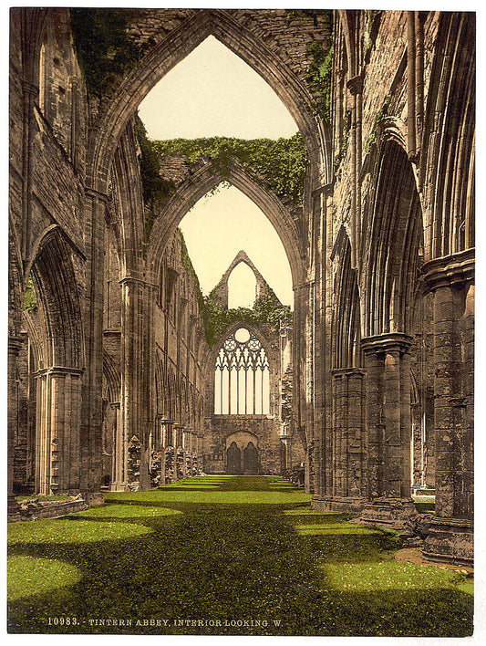 A picture of Abbey interior, looking W., Tintern, England