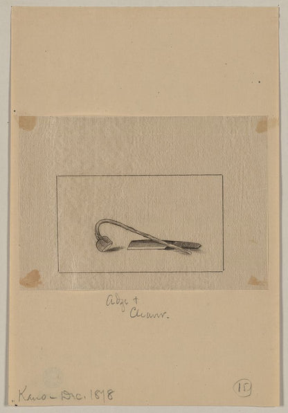 A picture of Adze & cleaver