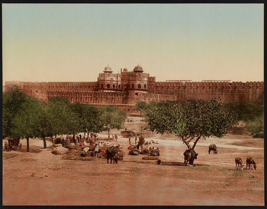 A picture of Agra. The Fort.