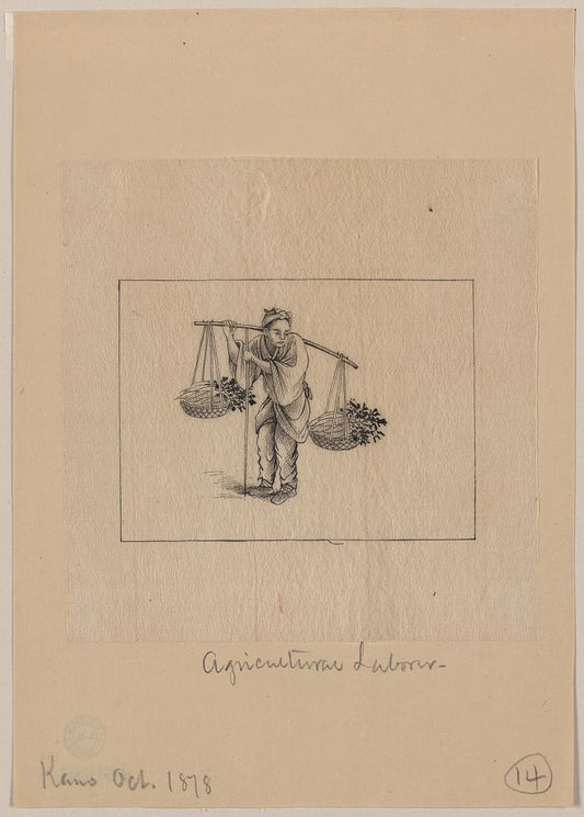 A picture of Agricultural laborer