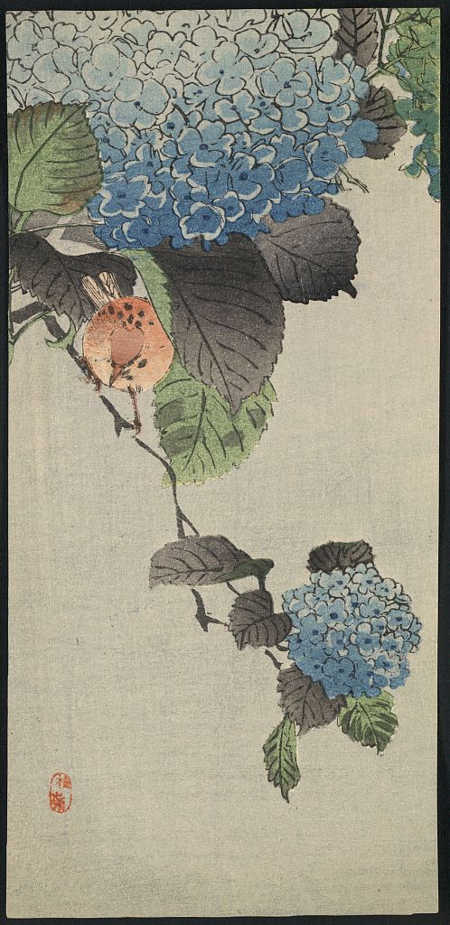 A picture of Ajisai ni shōkin