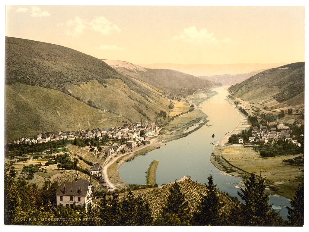 A picture of Alf and Bullay, Moselle, valley of, Germany