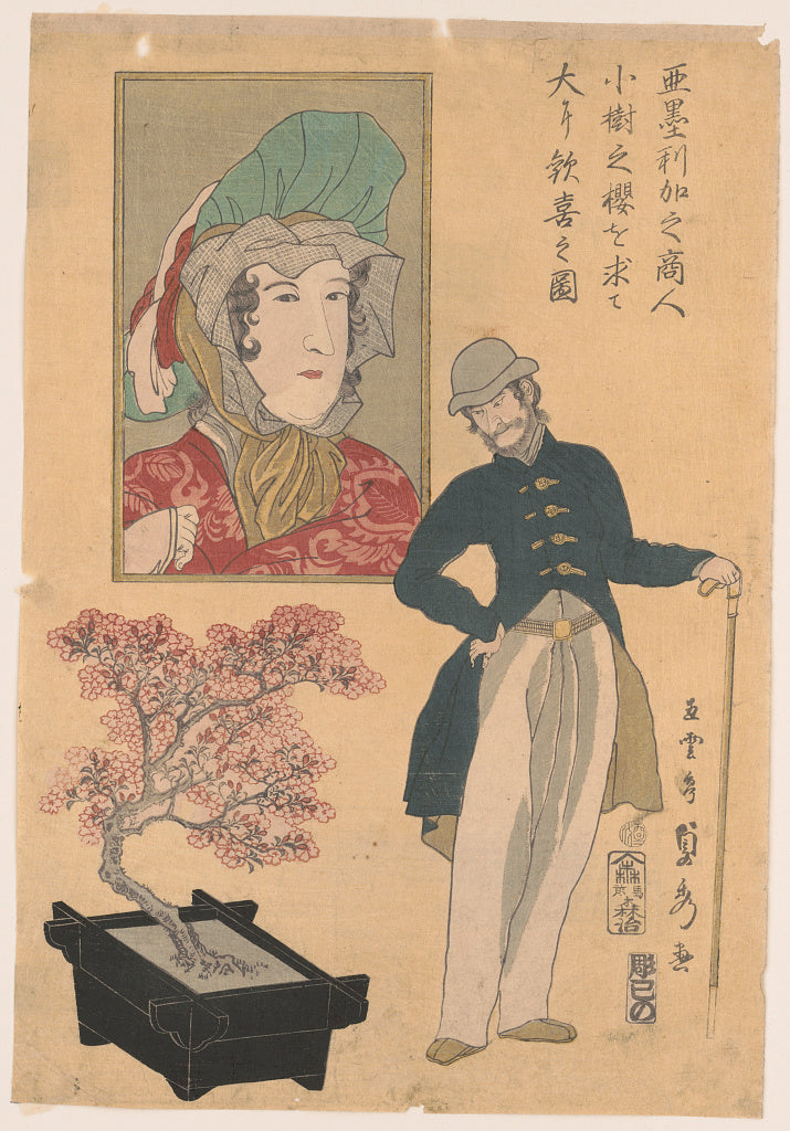 A picture of Amerika no shōnin shōju no sakura o motomete ōi ni kanki no zu