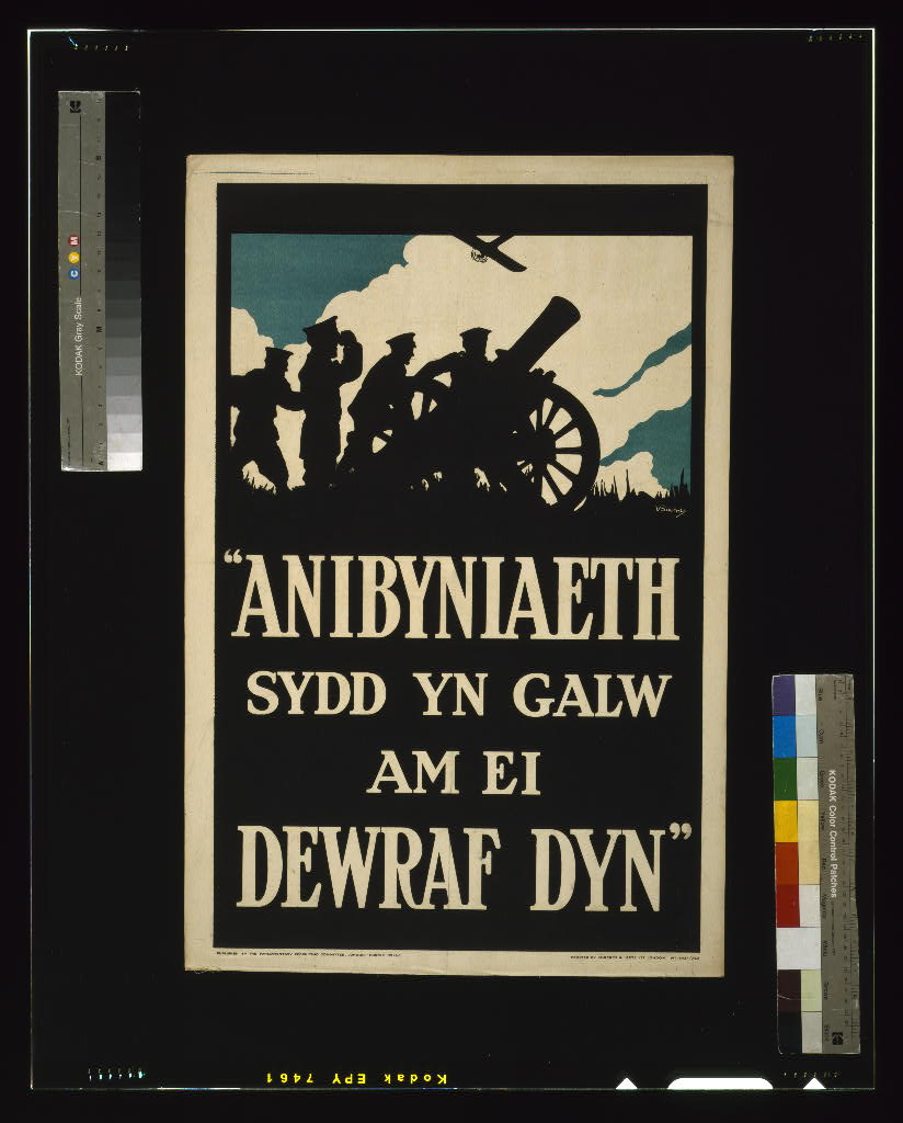 A picture of "Anibyniaeth sydd yn galw am ei dewraf dyn"