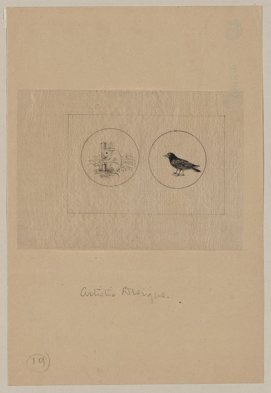 A picture of Artistic designs