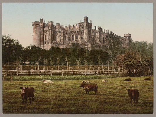 A picture of Arundel Castle