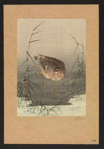 A picture of Ashi ni shigi