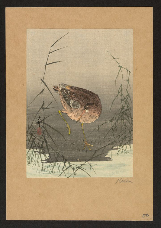 A picture of Ashi ni shigi