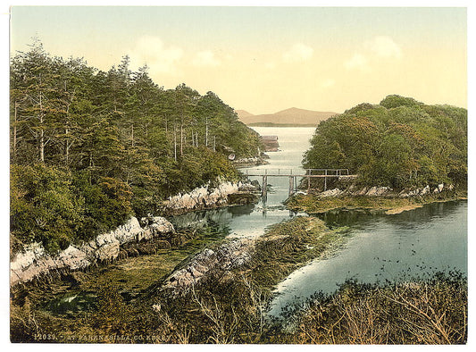 A picture of At Parknasilla. County Kerry, Ireland