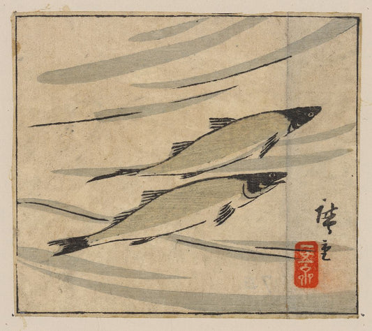 A picture of Ayu zu
