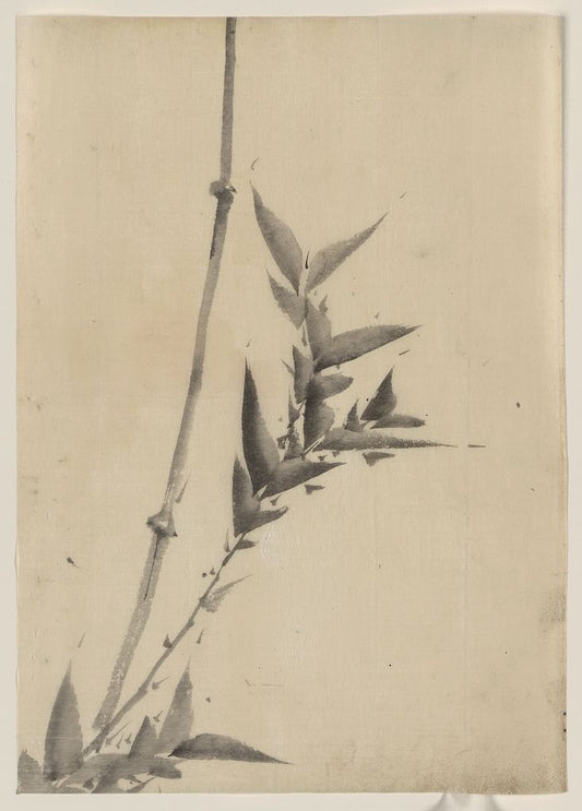 A picture of Bamboo shoots