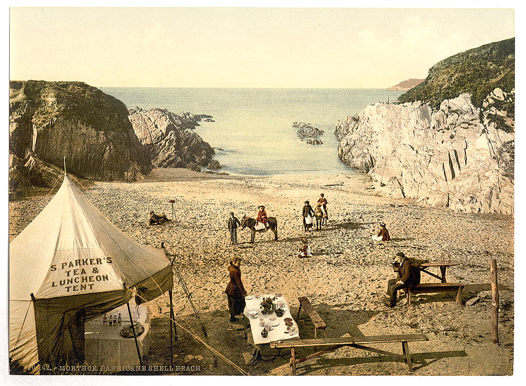 A picture of Barricane Shell Beach, Mortehoe, England