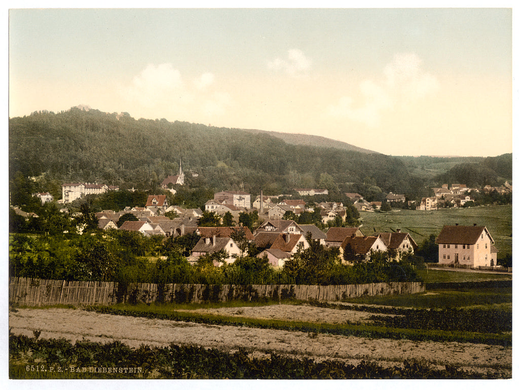 A picture of Bath of Liebenstein (i.e., Bad Liebenstein), from the Reichshohe, Thuringia, Germany