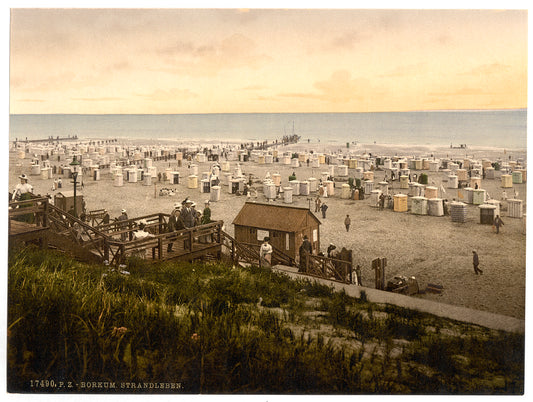 A picture of Beach, Borkum, Schleswig-Holstein, Germany