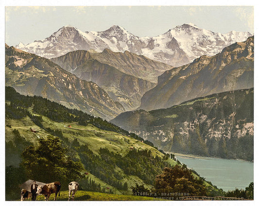 A picture of Beatenburg (i.e., Beatenberg), view of Jungfrau, Monch and Eiger, Bernese Oberland, Switzerland