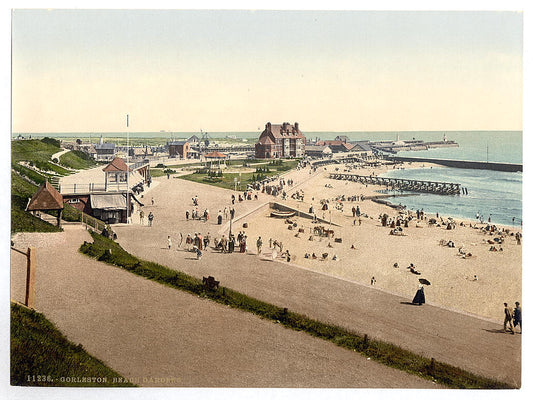 A picture of Beech i.e., Beach Gardens, Gorleston, England